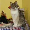 Отзыв от Ольга Ильина